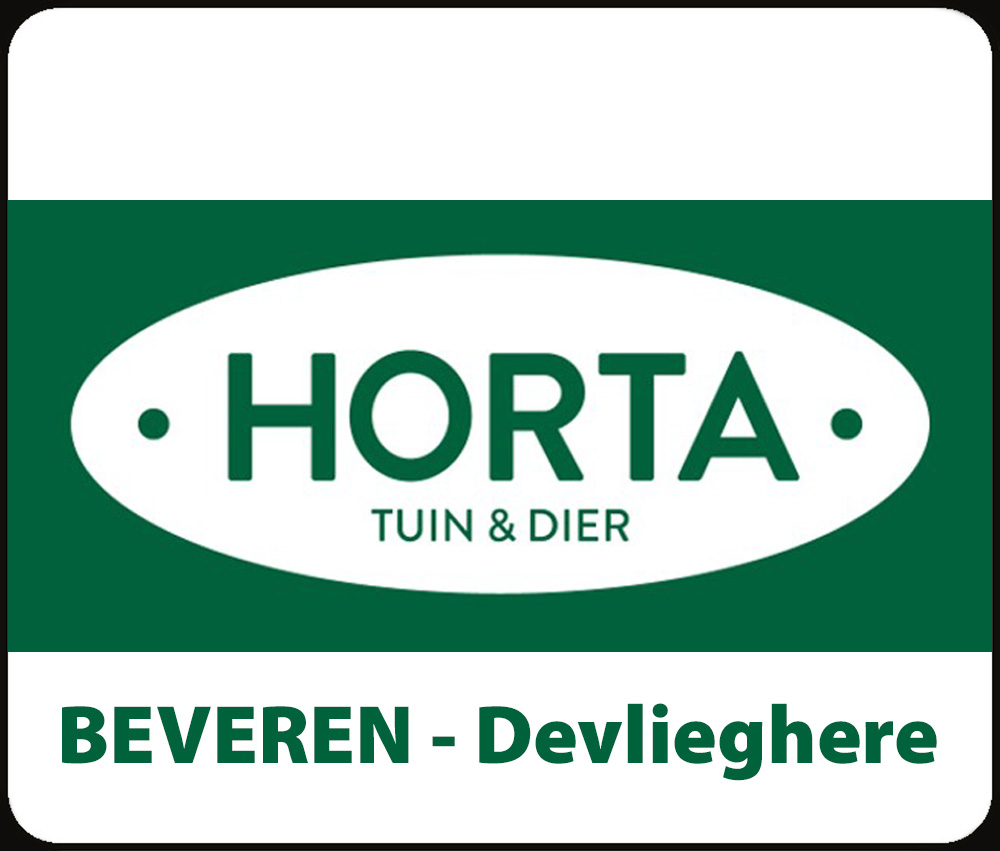 <center>Horta</center>